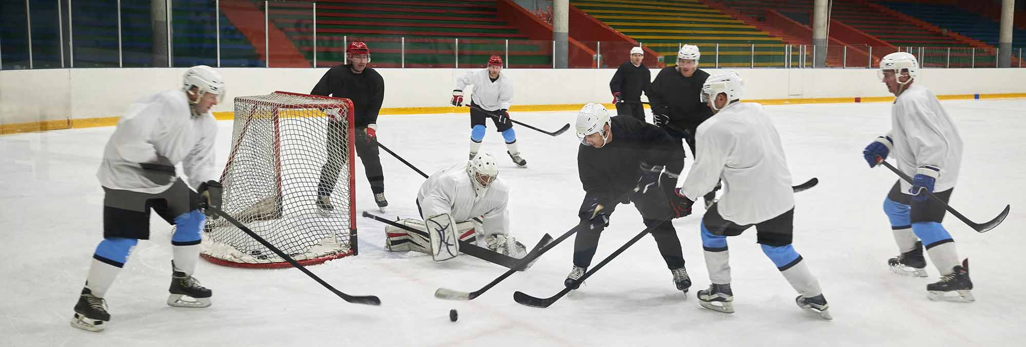 Hockey Series Store -Hockey Series Store 1