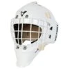Victory V4 Senior Custom Goalie Mask -Hockey Series Store 643345997231