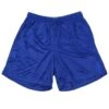 Alleson 580PY Youth Nylon Mesh Shorts